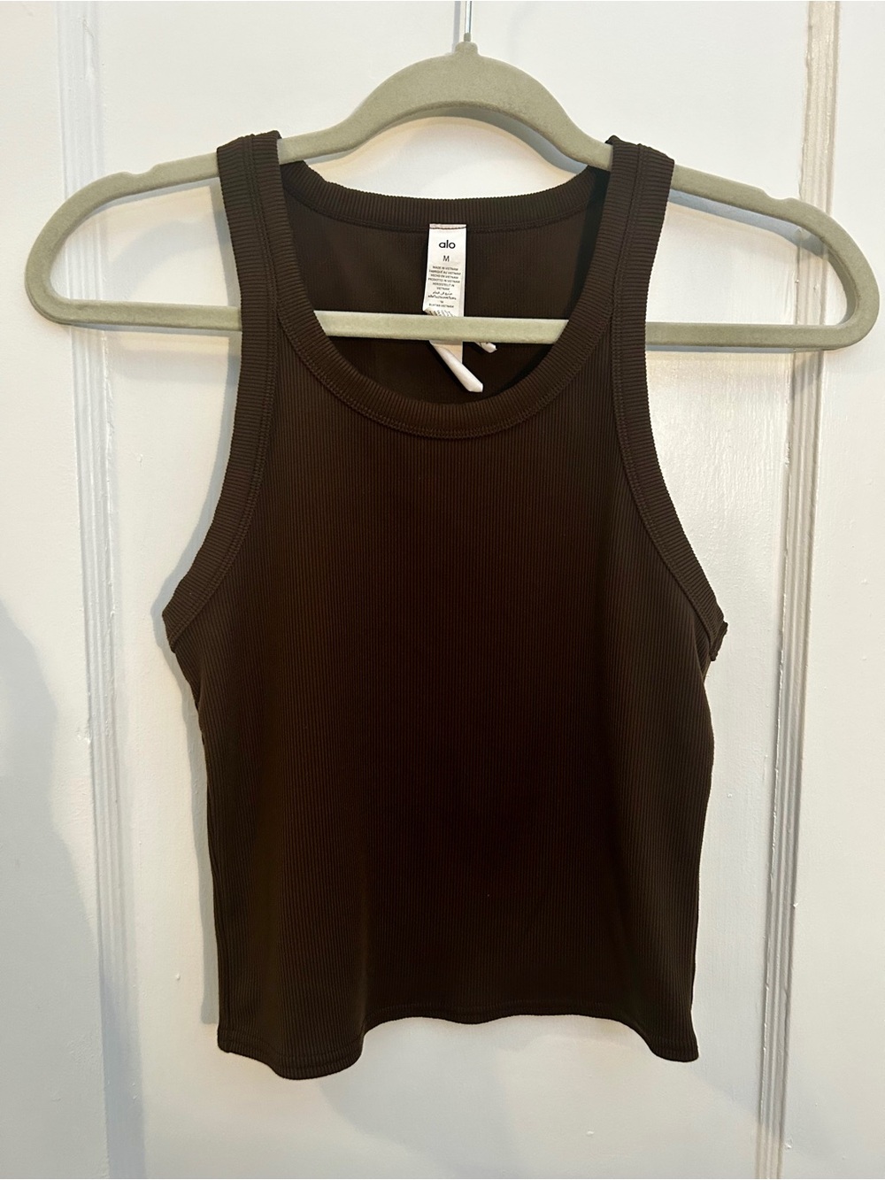 ALO Yoga Dark Brown Ribbed Tank